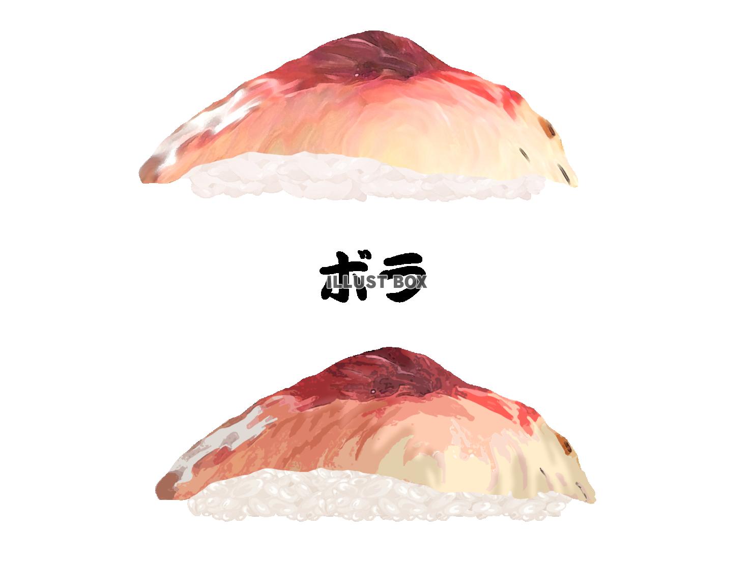 寿司-ボラ