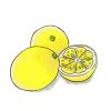 レモン　lemon