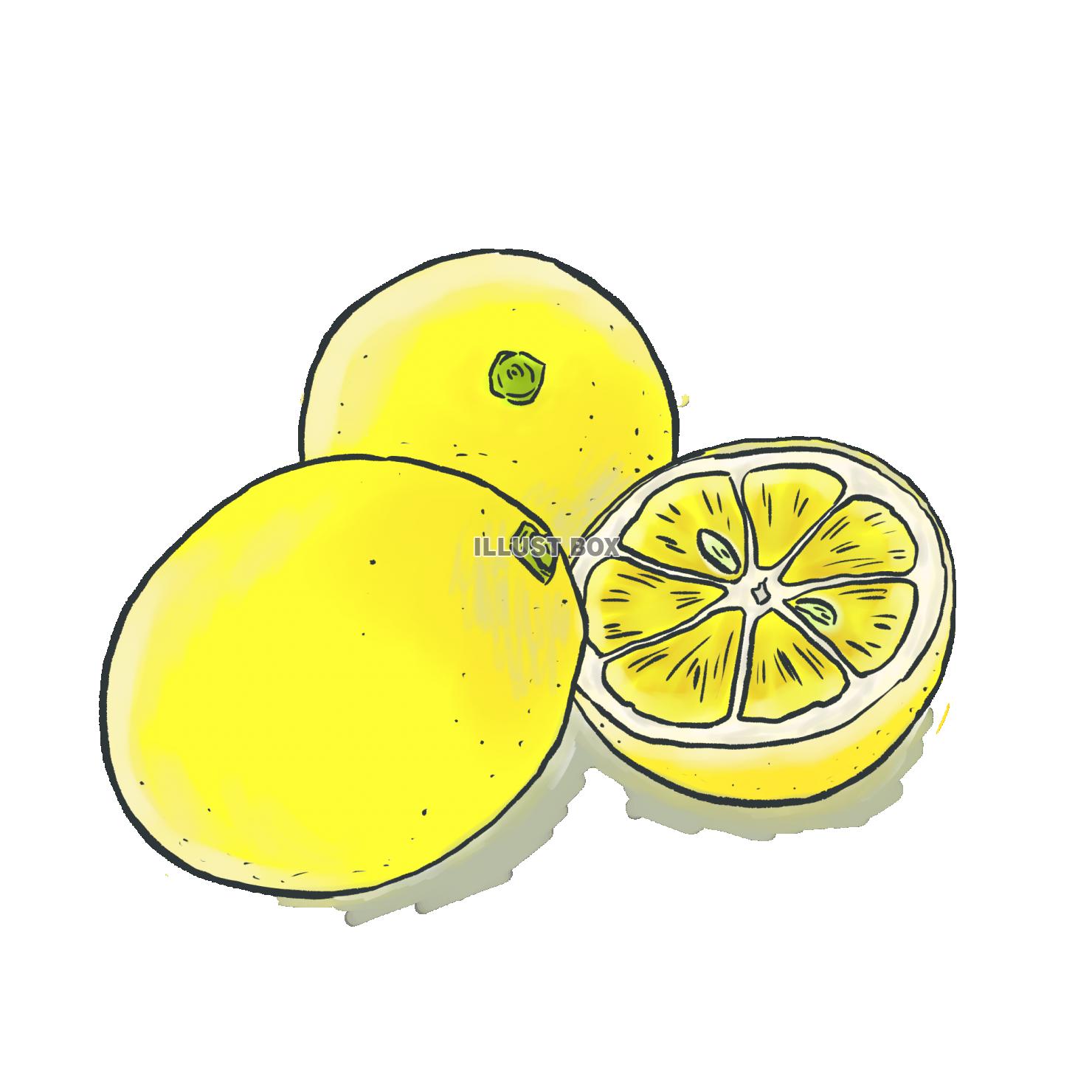 Lemon イラスト無料