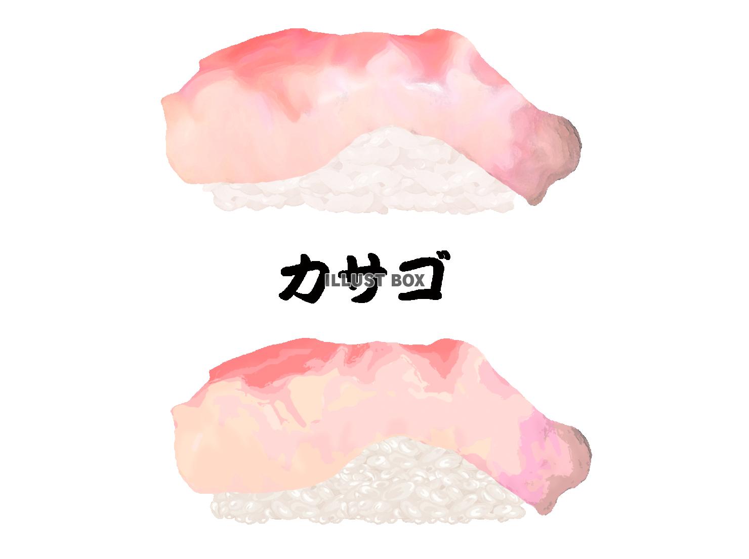 寿司-カサゴ