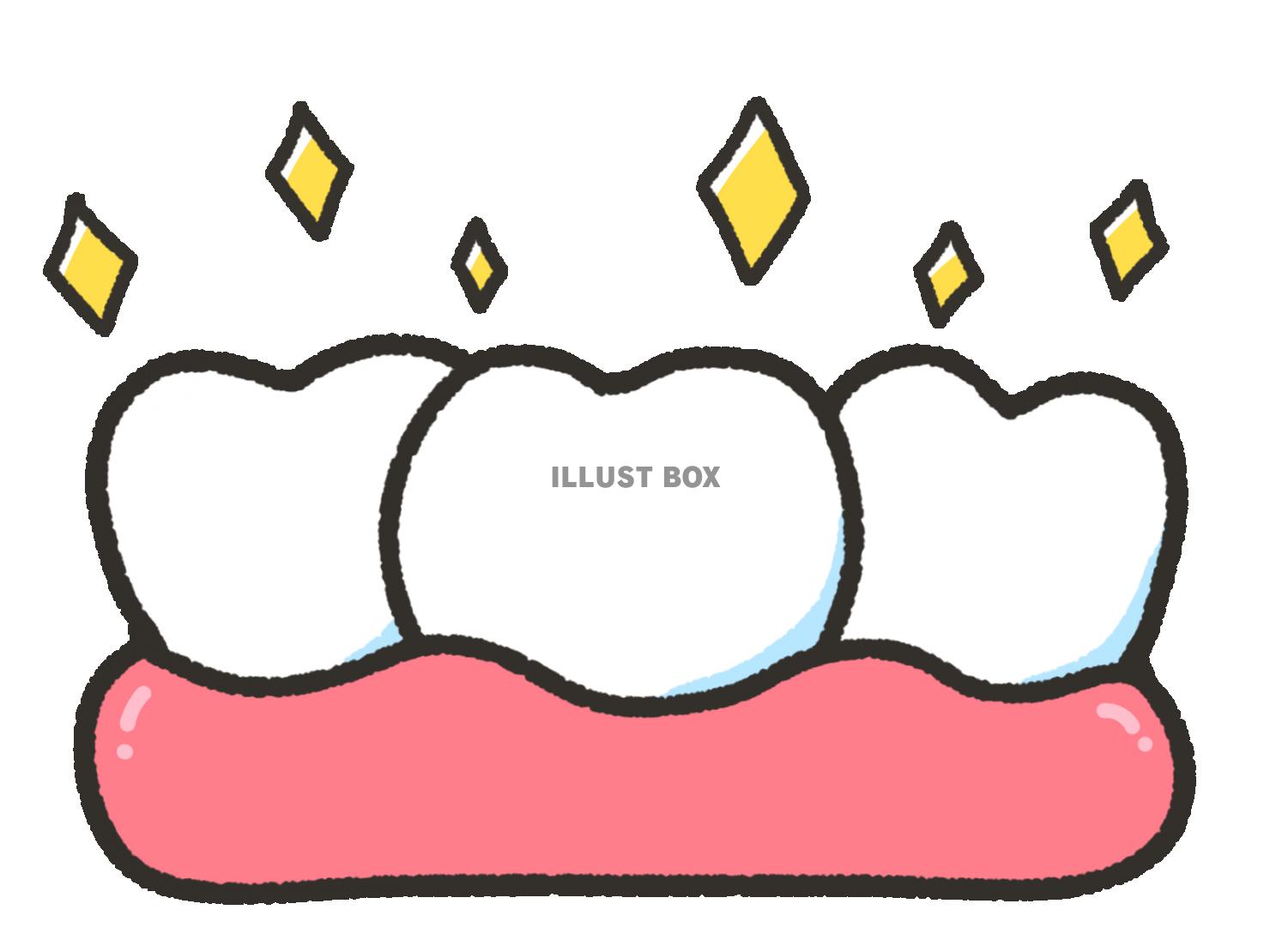 並んだ歯　キラキラ　清潔