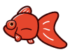 かわいい金魚　デメキン　赤