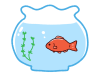 金魚鉢の金魚　和金