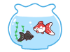 金魚鉢と金魚　リュウキン