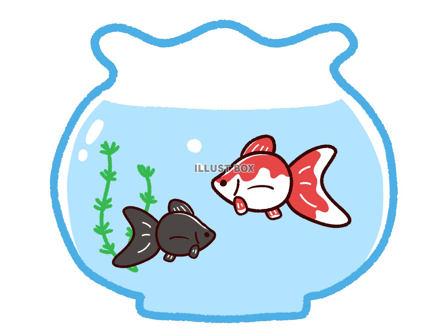 金魚鉢 イラスト無料