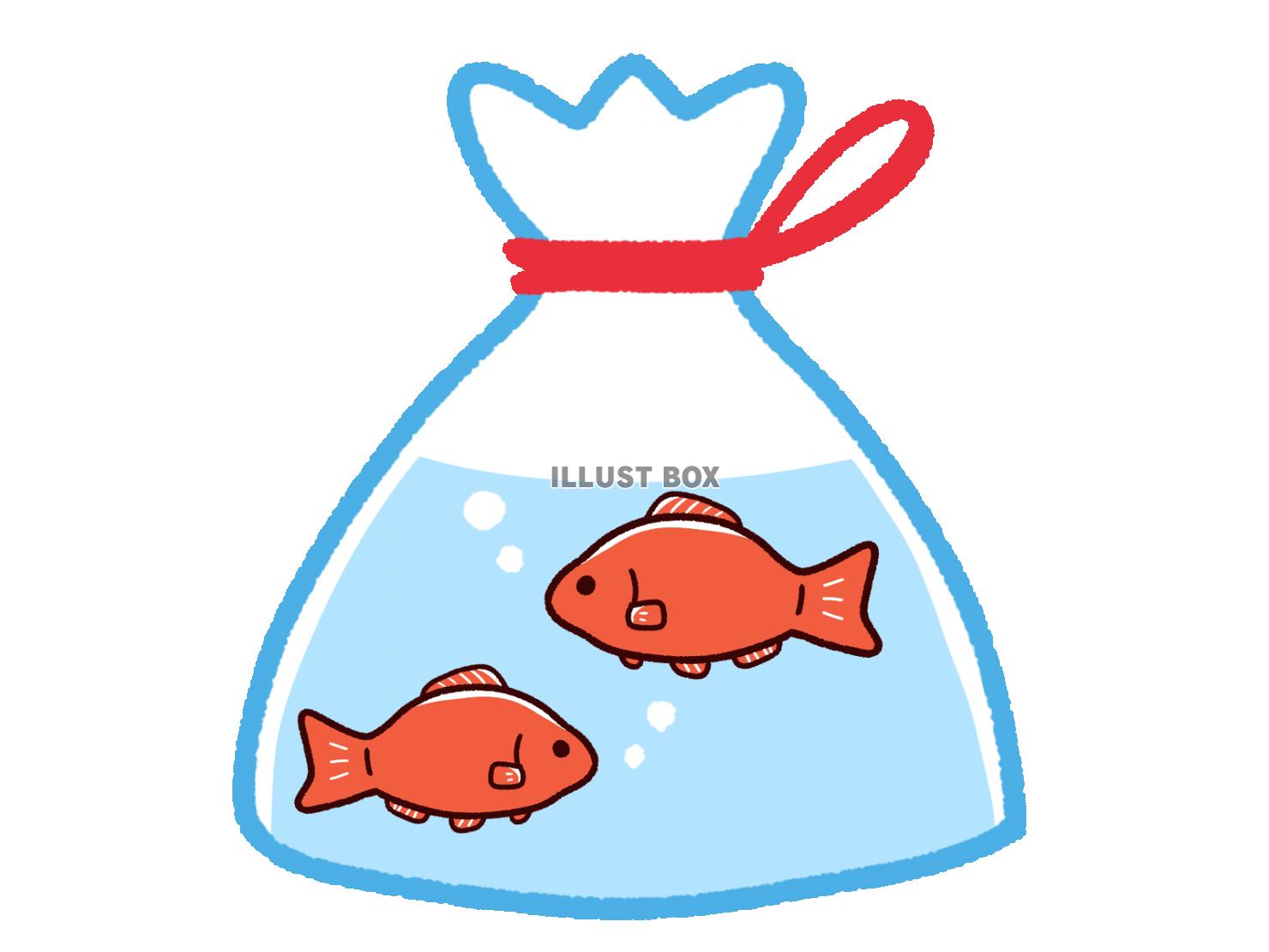 金魚 イラスト無料