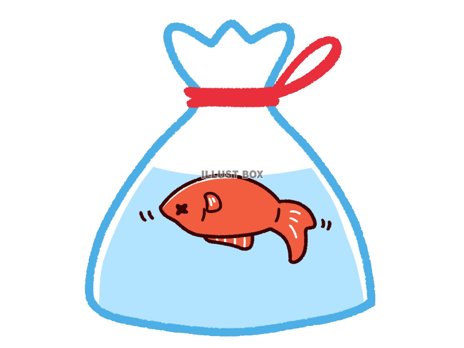 金魚 イラスト無料