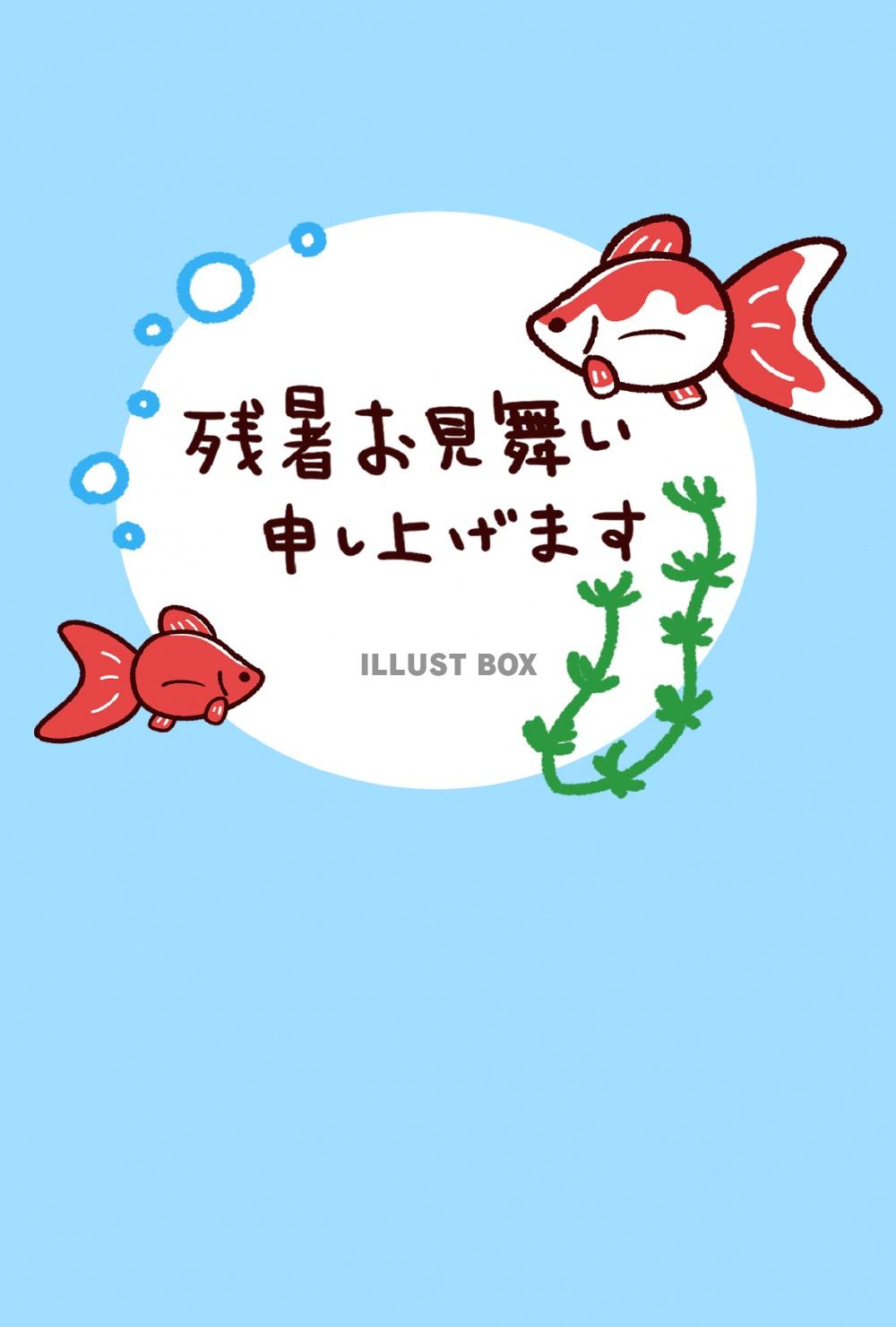 無料イラスト 残暑見舞い かわいい金魚 はがき