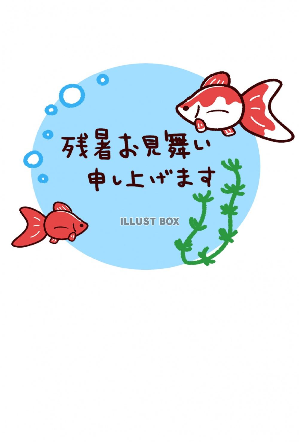 無料イラスト 残暑見舞い かわいい金魚 はがき