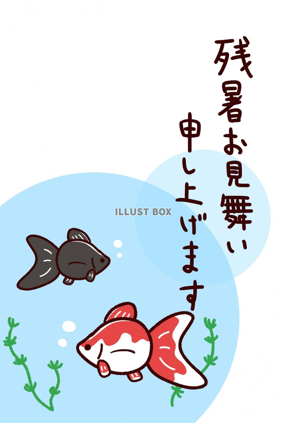 無料イラスト 残暑見舞い 金魚 縦書きはがき