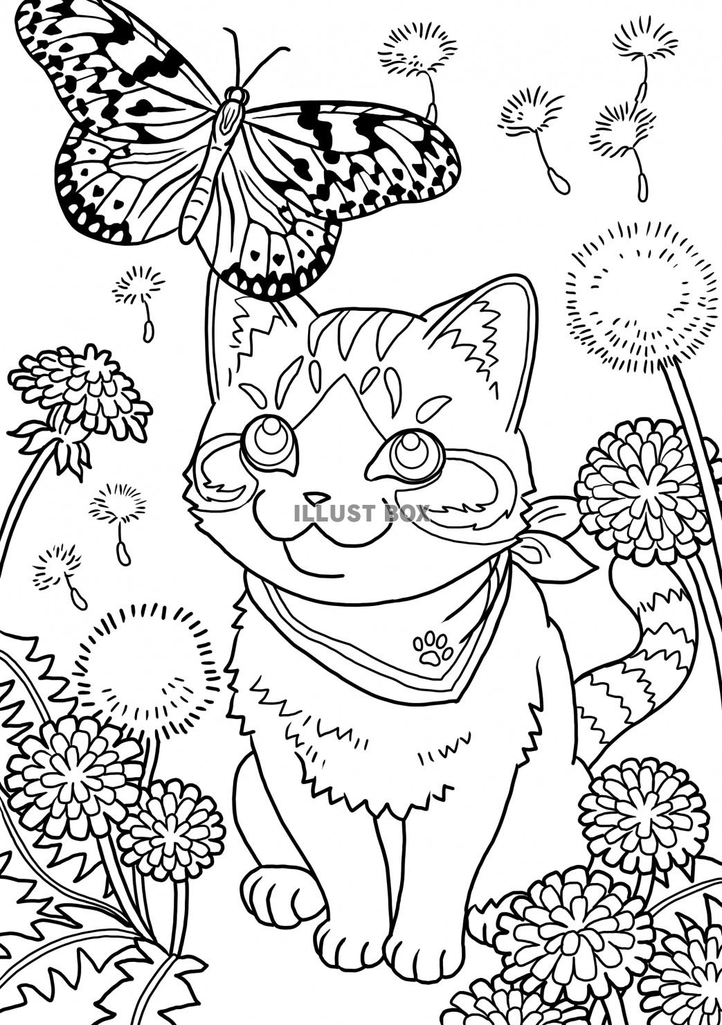 無料イラスト 猫と蝶とたんぽぽの塗り絵