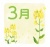 3月のカレンダーロゴ（菜の花）