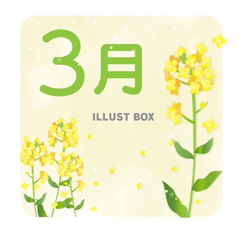 3月のカレンダーロゴ（菜の花）