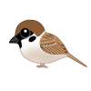 スズメ（日本の野鳥）　透過ＰＮＧ