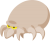 ダニ　害虫