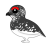 ライチョウ（日本の野鳥）透過ＰＮＧ