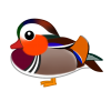 オシドリ（日本の野鳥）透過ＰＮＧ