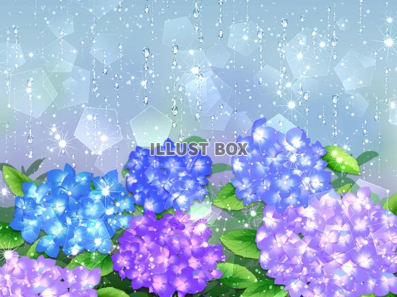 無料イラスト 無料背景素材 紫陽花