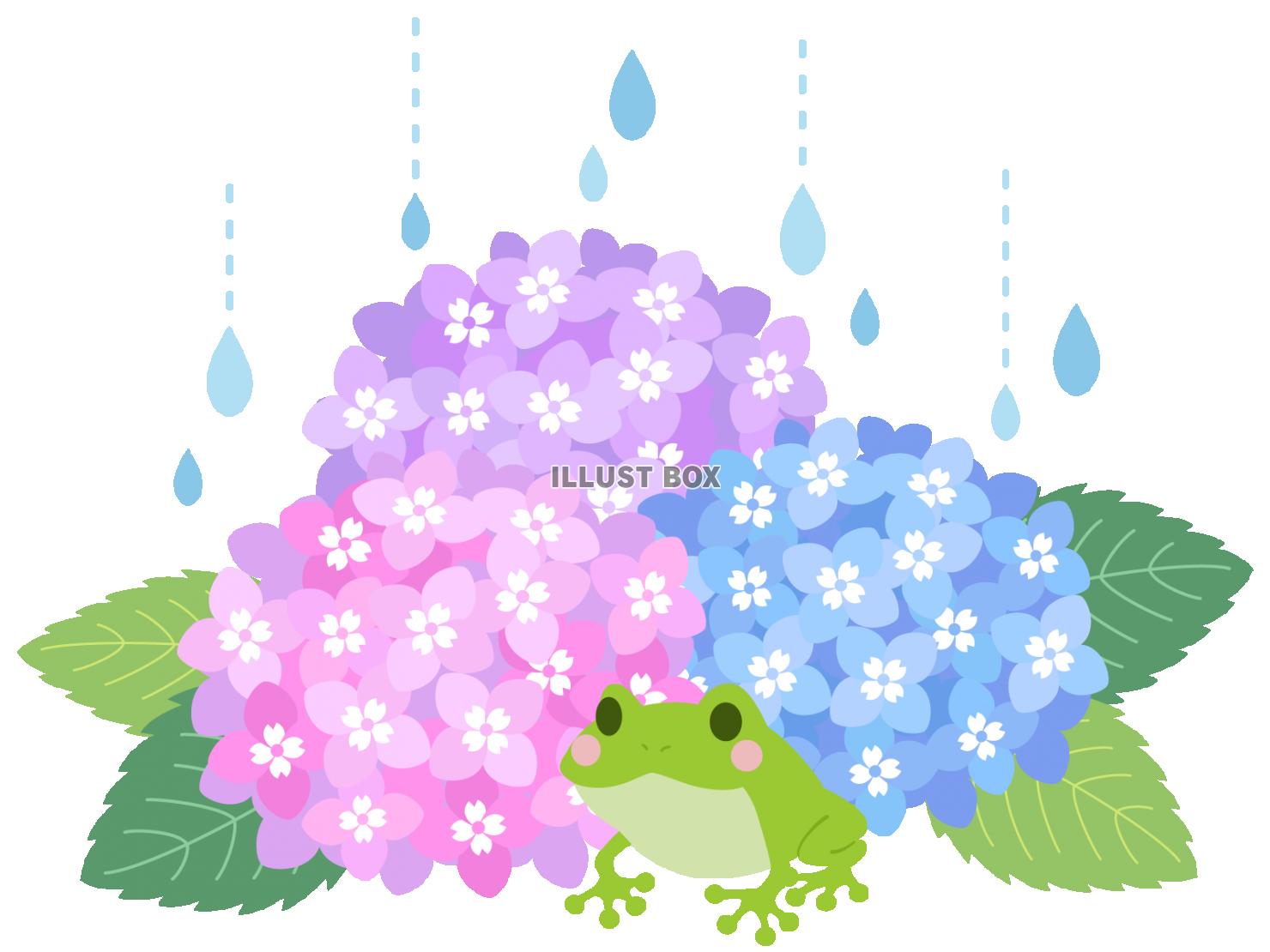 無料イラスト 紫陽花とカエル