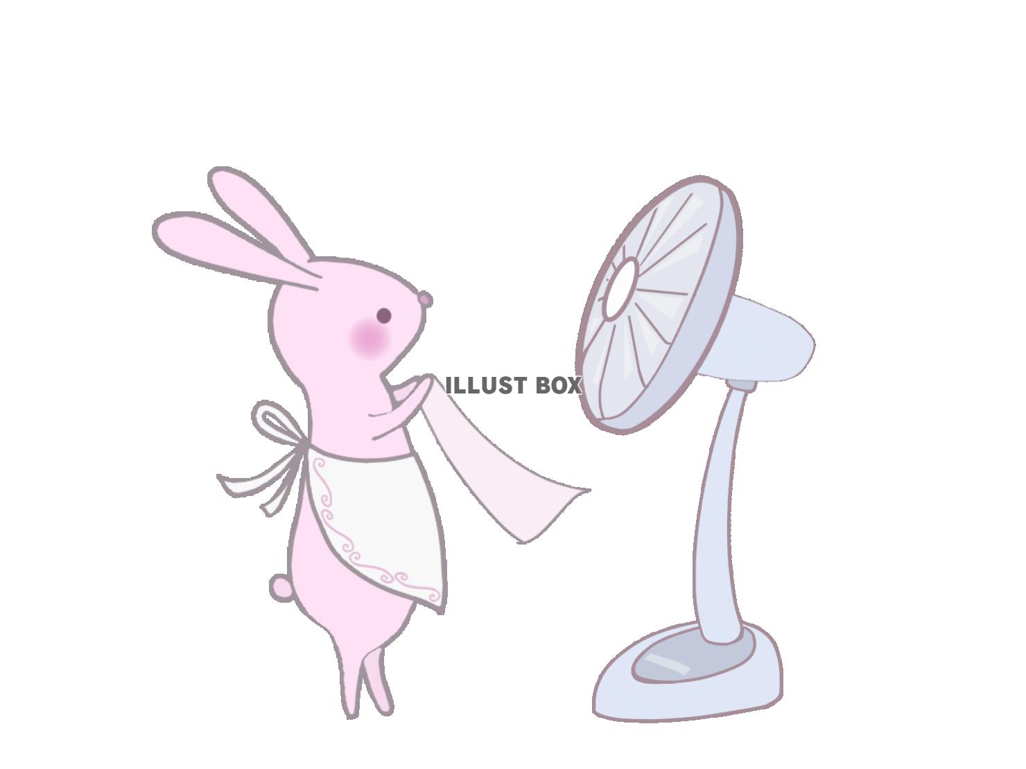 扇風機で洗濯物を乾かそうとするウサギ