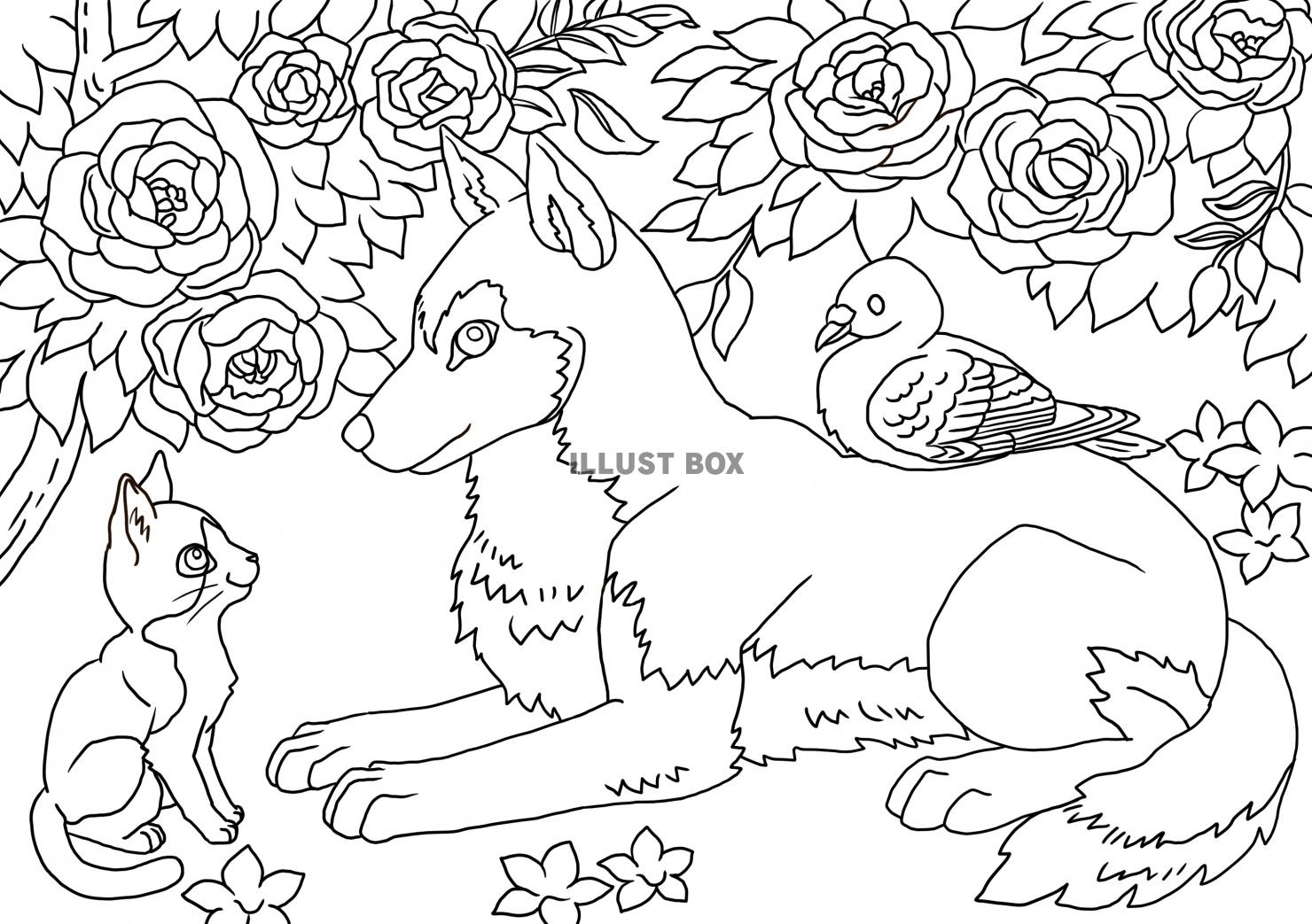 無料イラスト 犬と猫とハトの塗り絵