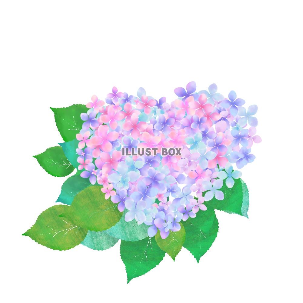 無料イラスト ハートの紫陽花