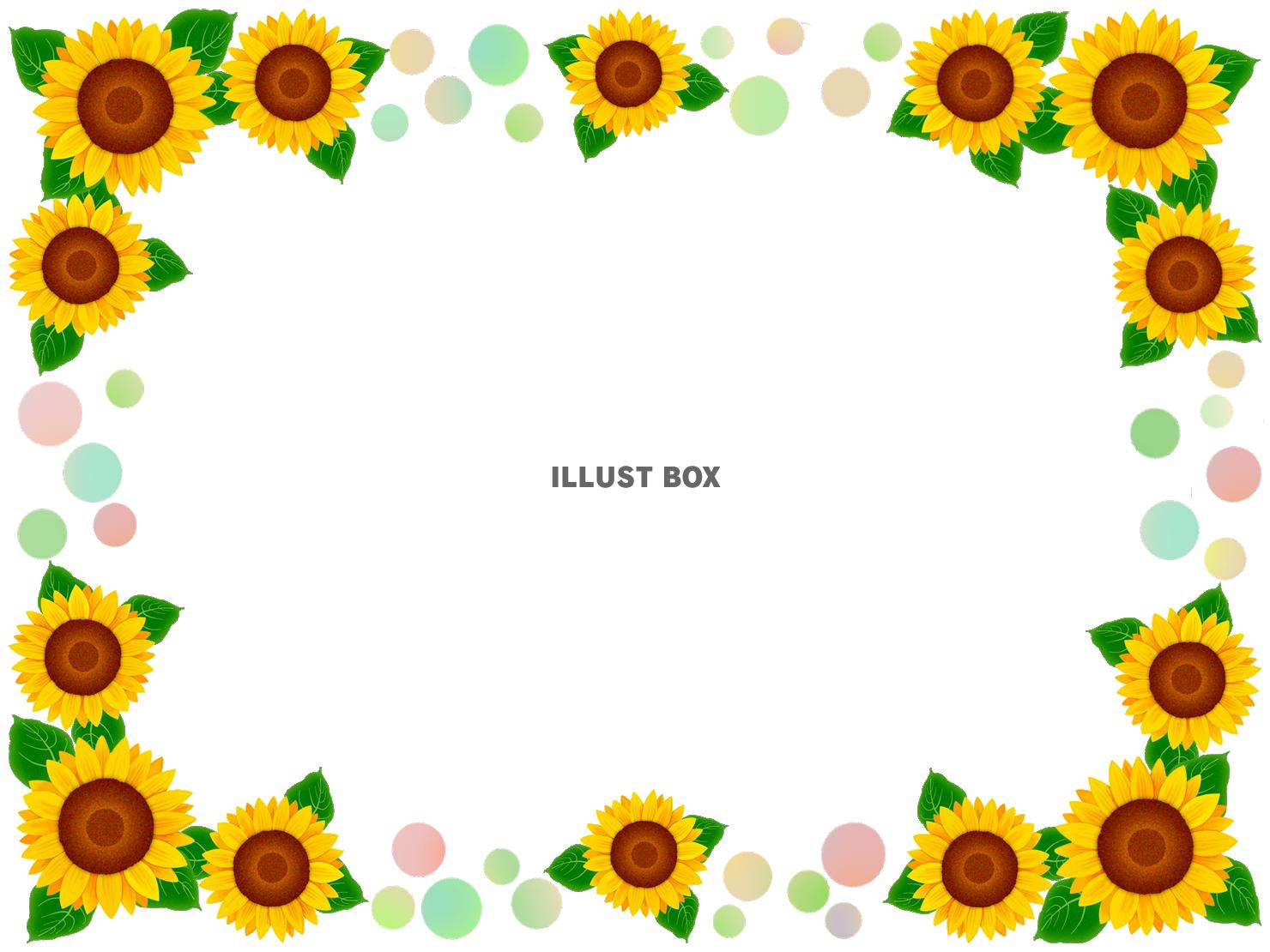 向日葵フレーム花模様飾り枠素材イラスト。透過PNG
