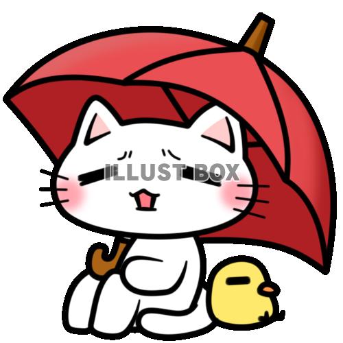 傘と白猫ちゃんとひよこ2