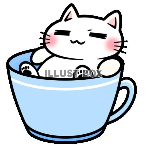 無料イラスト 水色のカップに入った白猫ちゃん