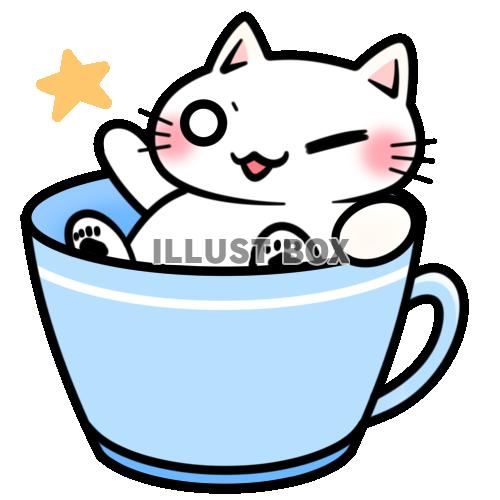 水色のカップに入って手を挙げる白猫ちゃん