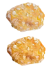 菓子パン128