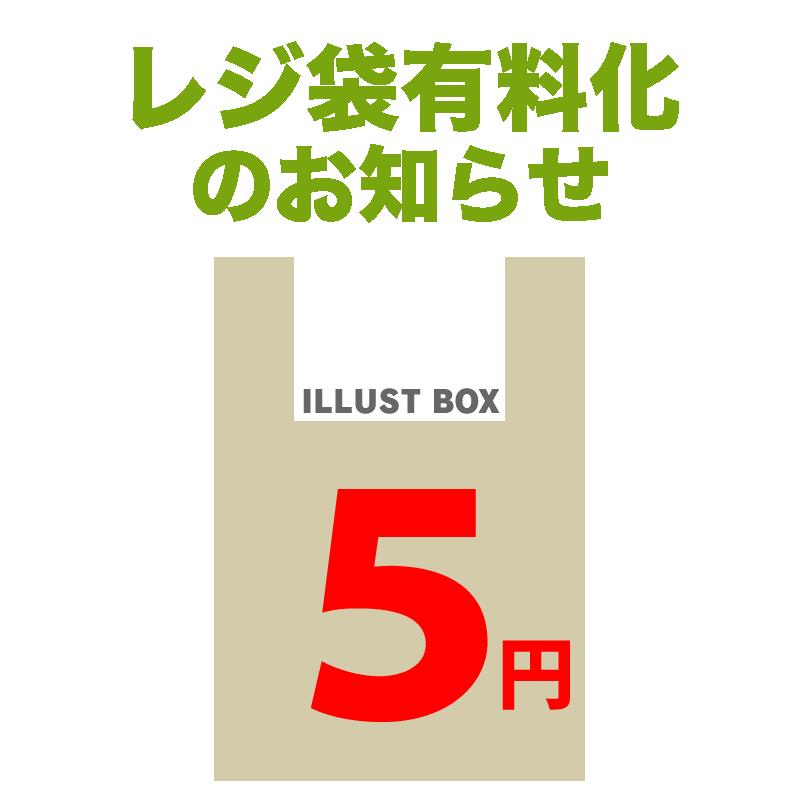 レジ袋有料化　金額入り