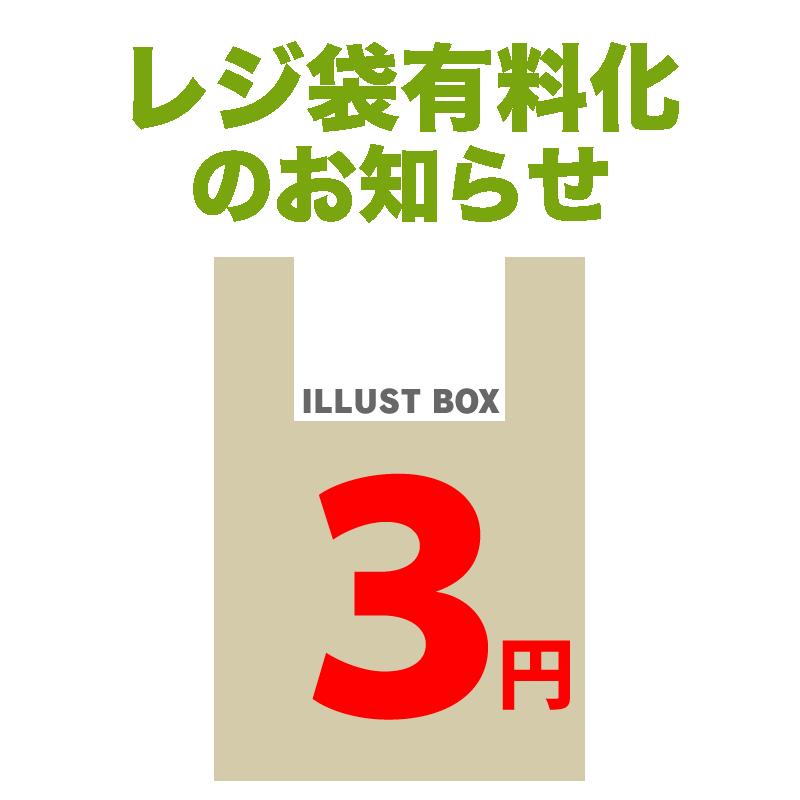 レジ袋有料化　金額入り２