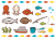 かわいい手描きの魚セット