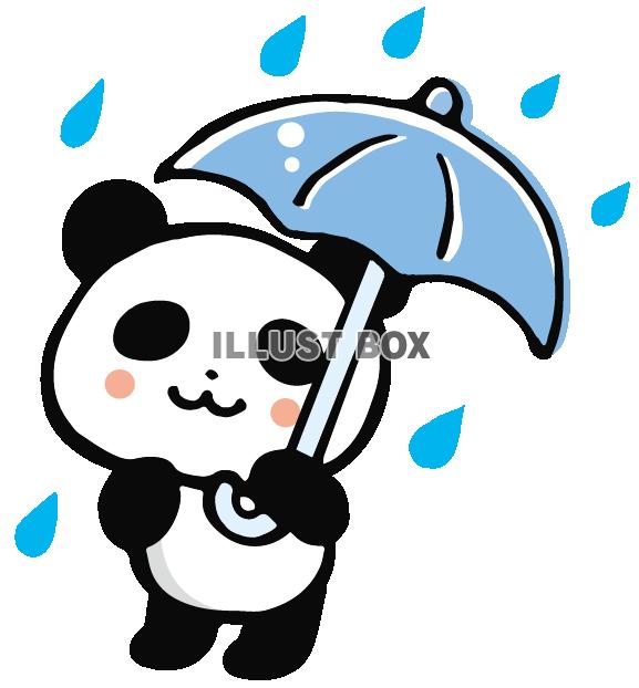 雨の日パンダ