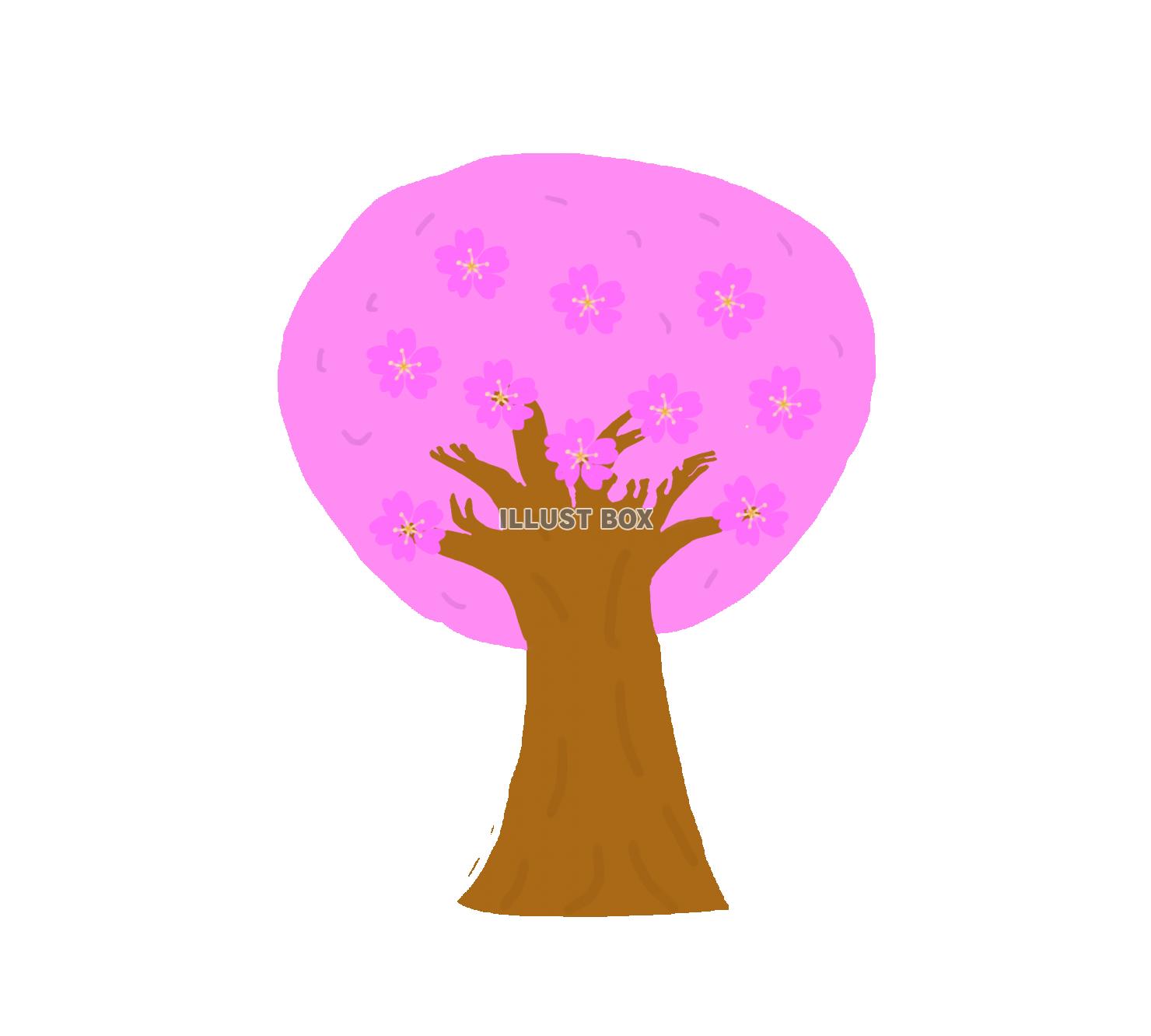 無料イラスト 桜の木