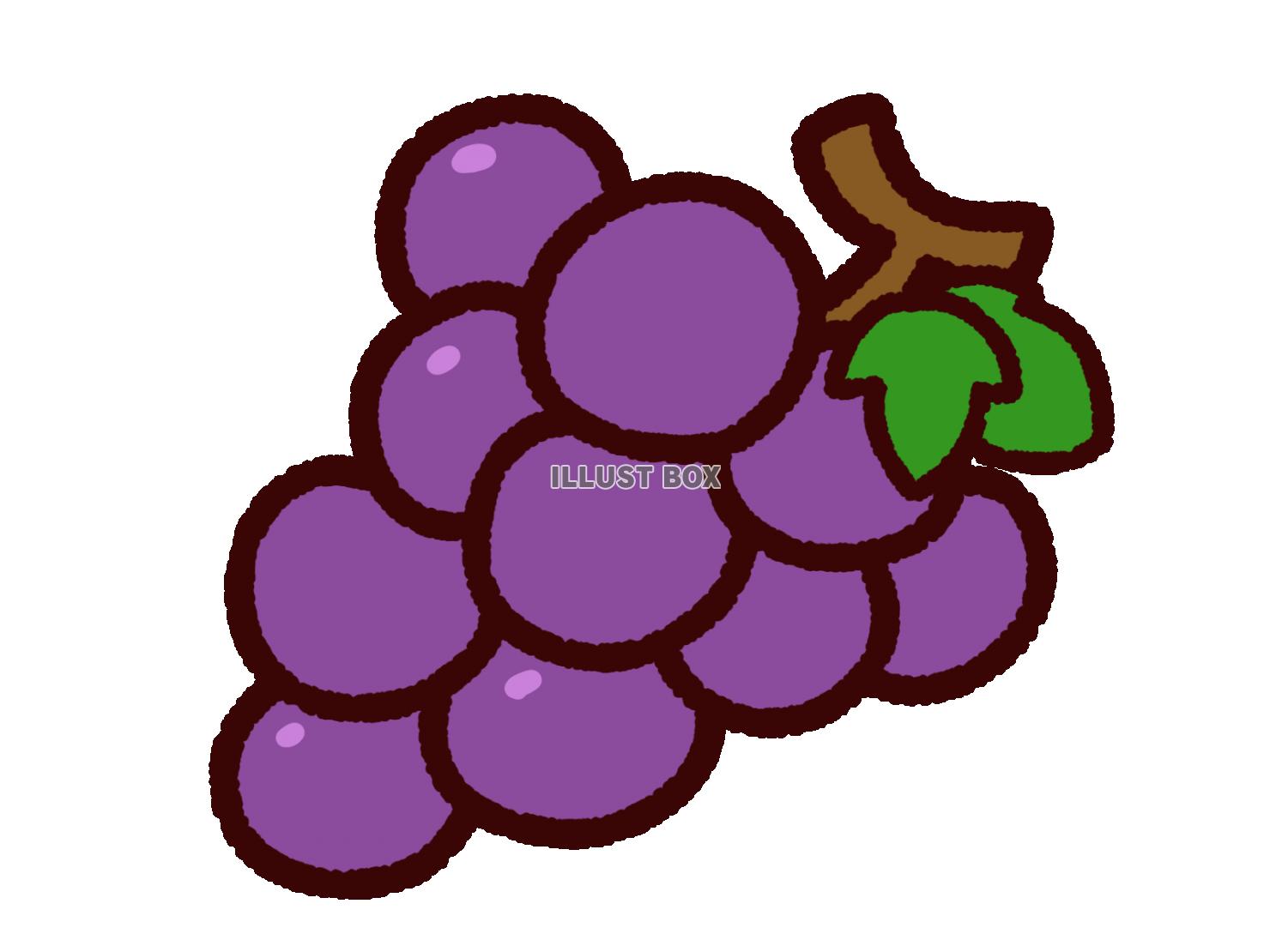 無料イラスト かわいい秋の果物 紫のブドウ