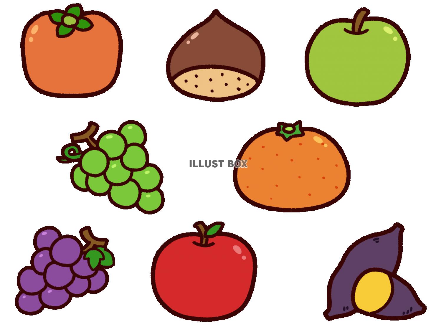 秋の果物 イラスト無料