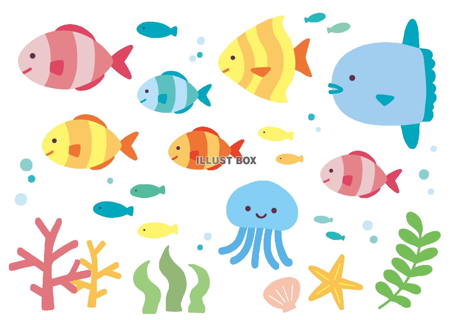 無料イラスト カラフルな魚セット 背景なし