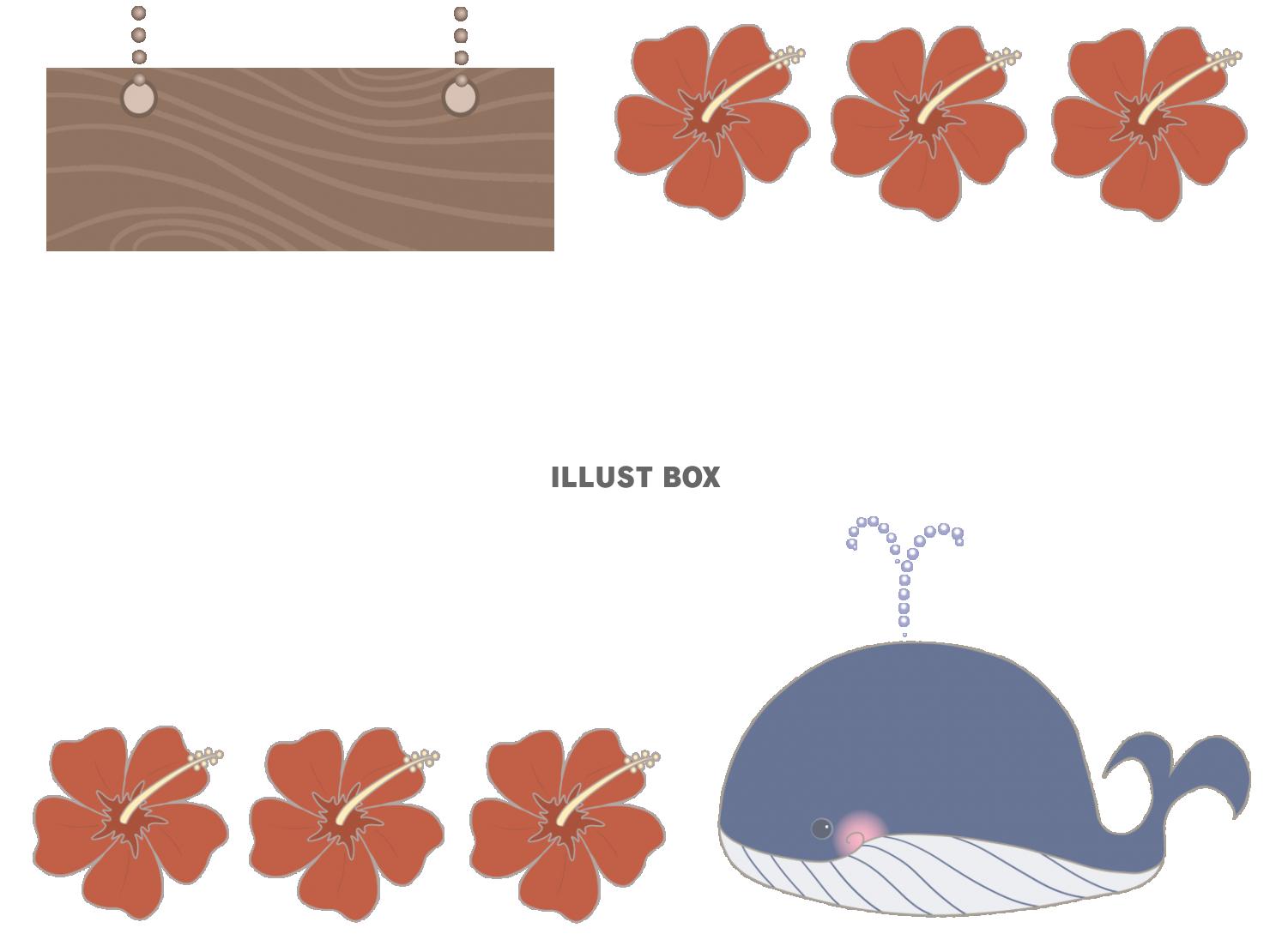 ハイビスカスとクジラのフレーム　線あり
