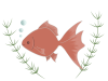 金魚のイラスト　線あり