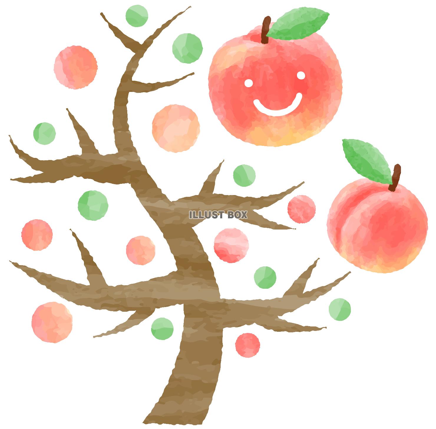 無料イラスト 笑顔の桃と桃の木