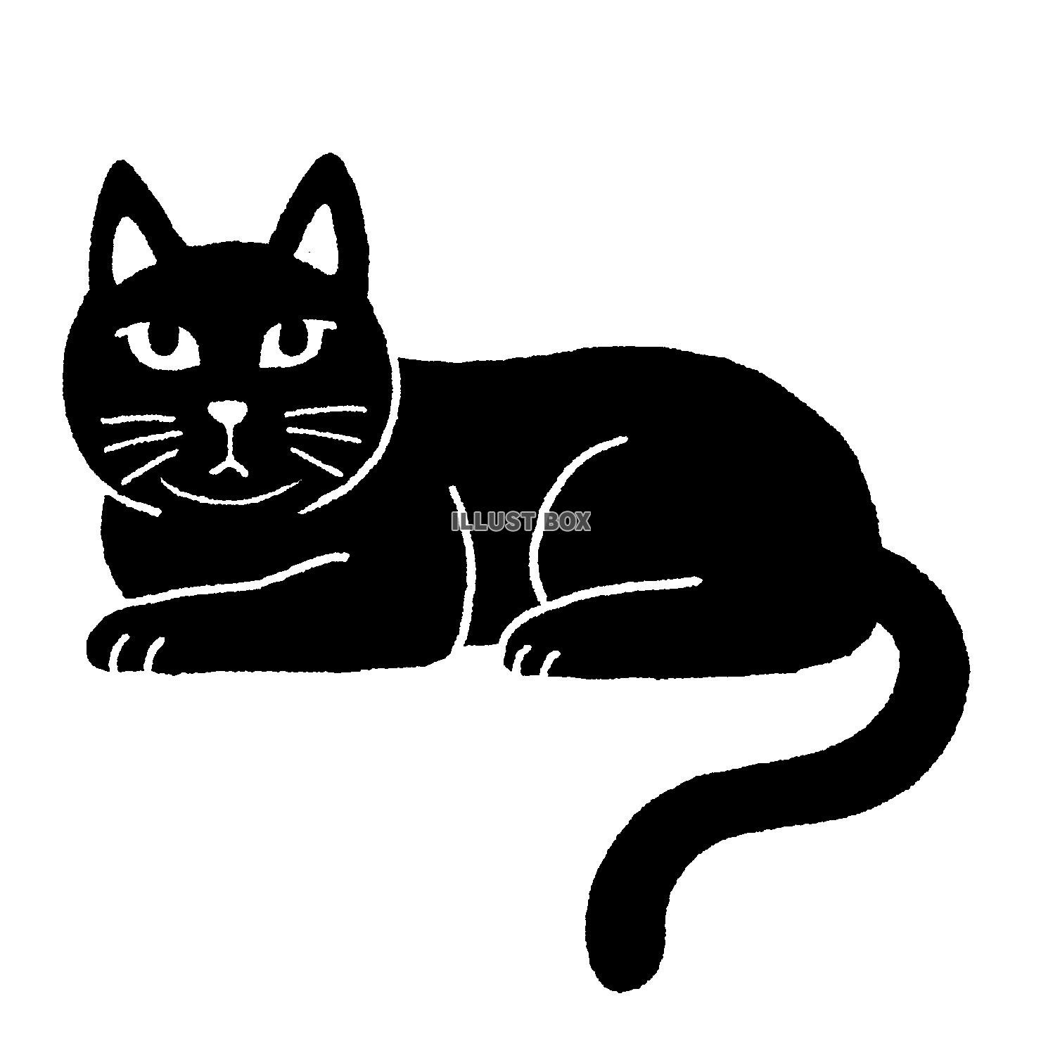 高品質 手描きイラスト 原画 白黒猫 Ubat Fr