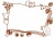 本と動物の秋フレーム