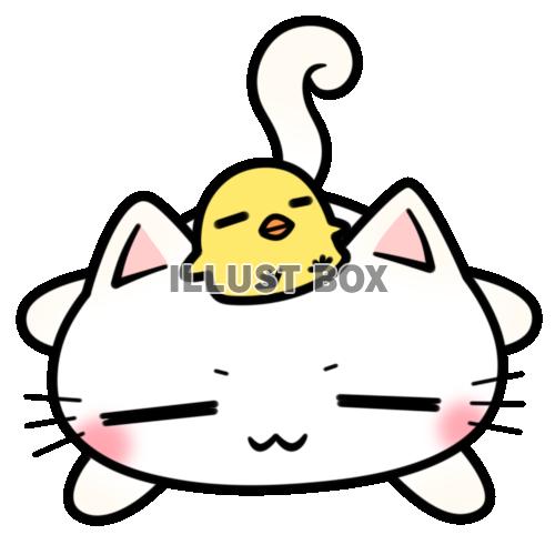 無料イラスト 仲良しそうな白猫ちゃんとひよこ