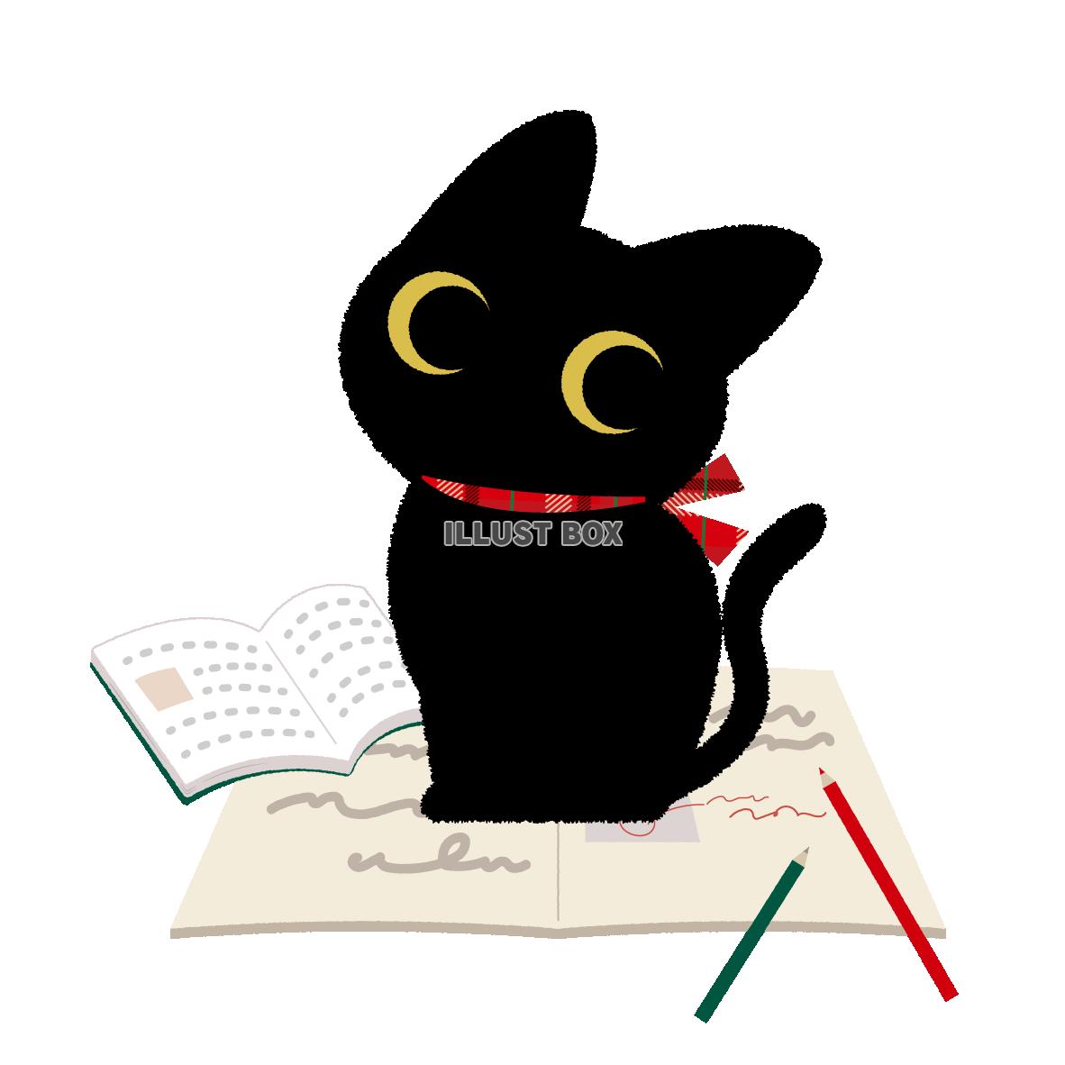 無料イラスト お勉強中の猫