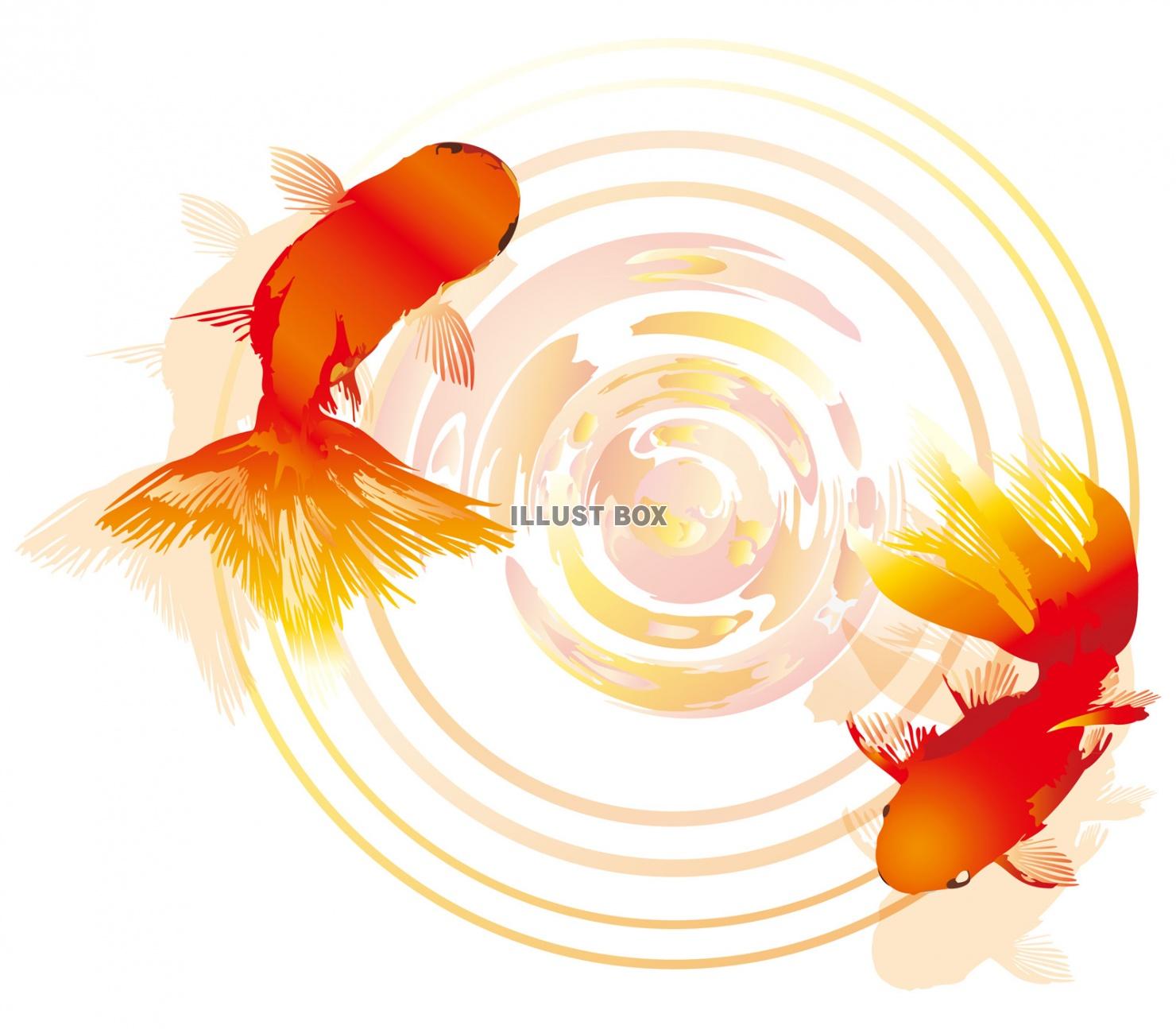無料イラスト 金魚水面秋祭り夏祭り和風縁日夕方暖色赤オレンジ動物魚生き物無