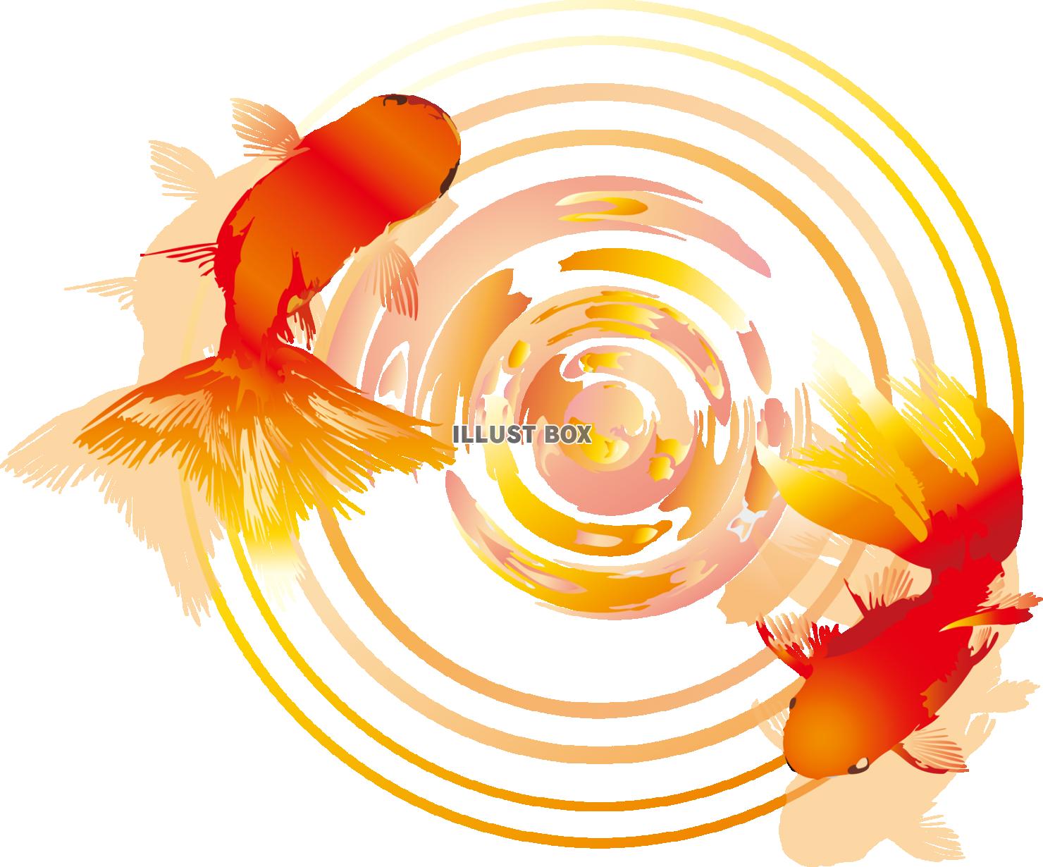 無料イラスト 透過png金魚水面秋祭り夏祭り和風縁日夕方暖色赤オレンジ動物