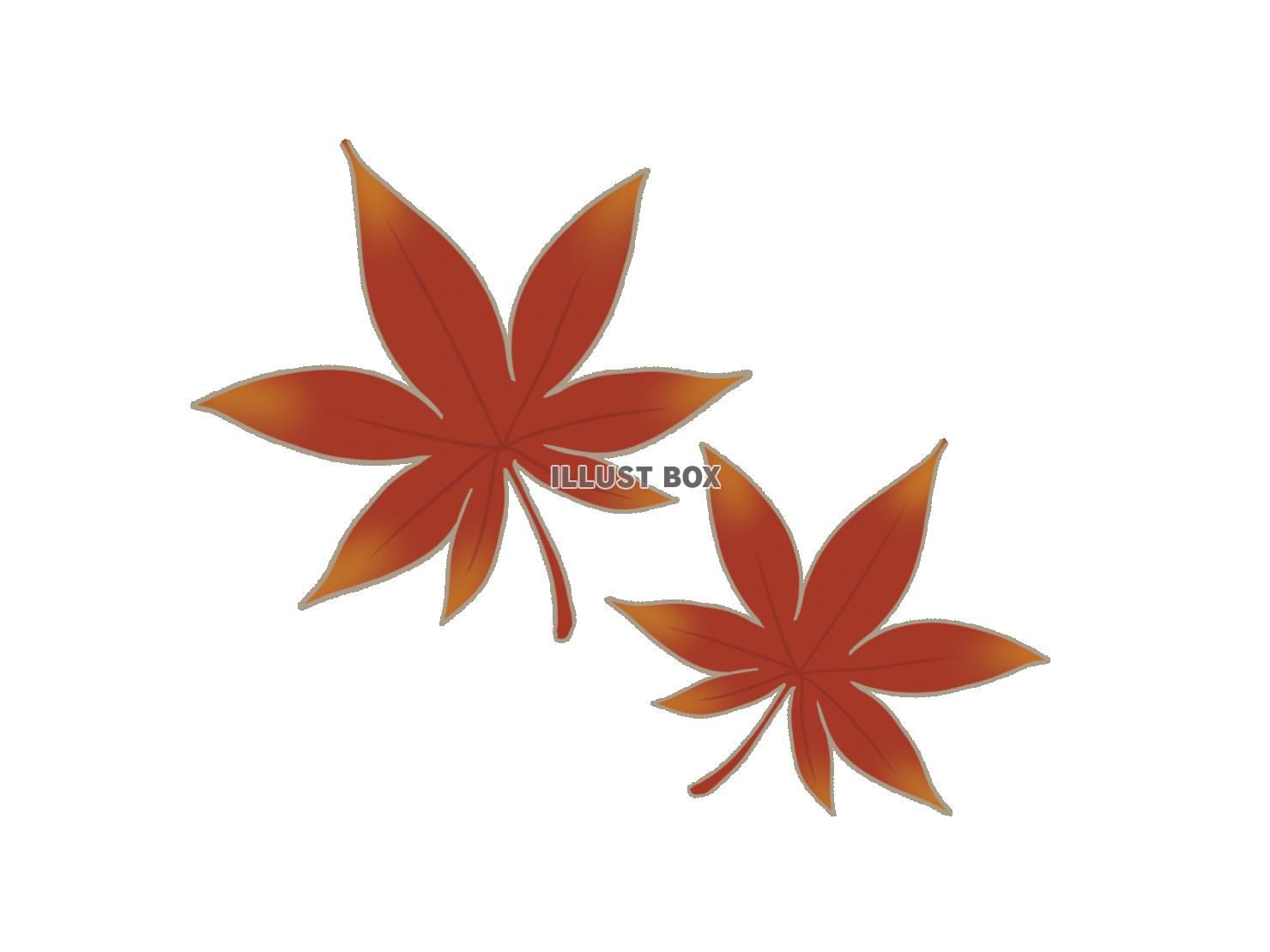 紅葉のイラスト　線あり