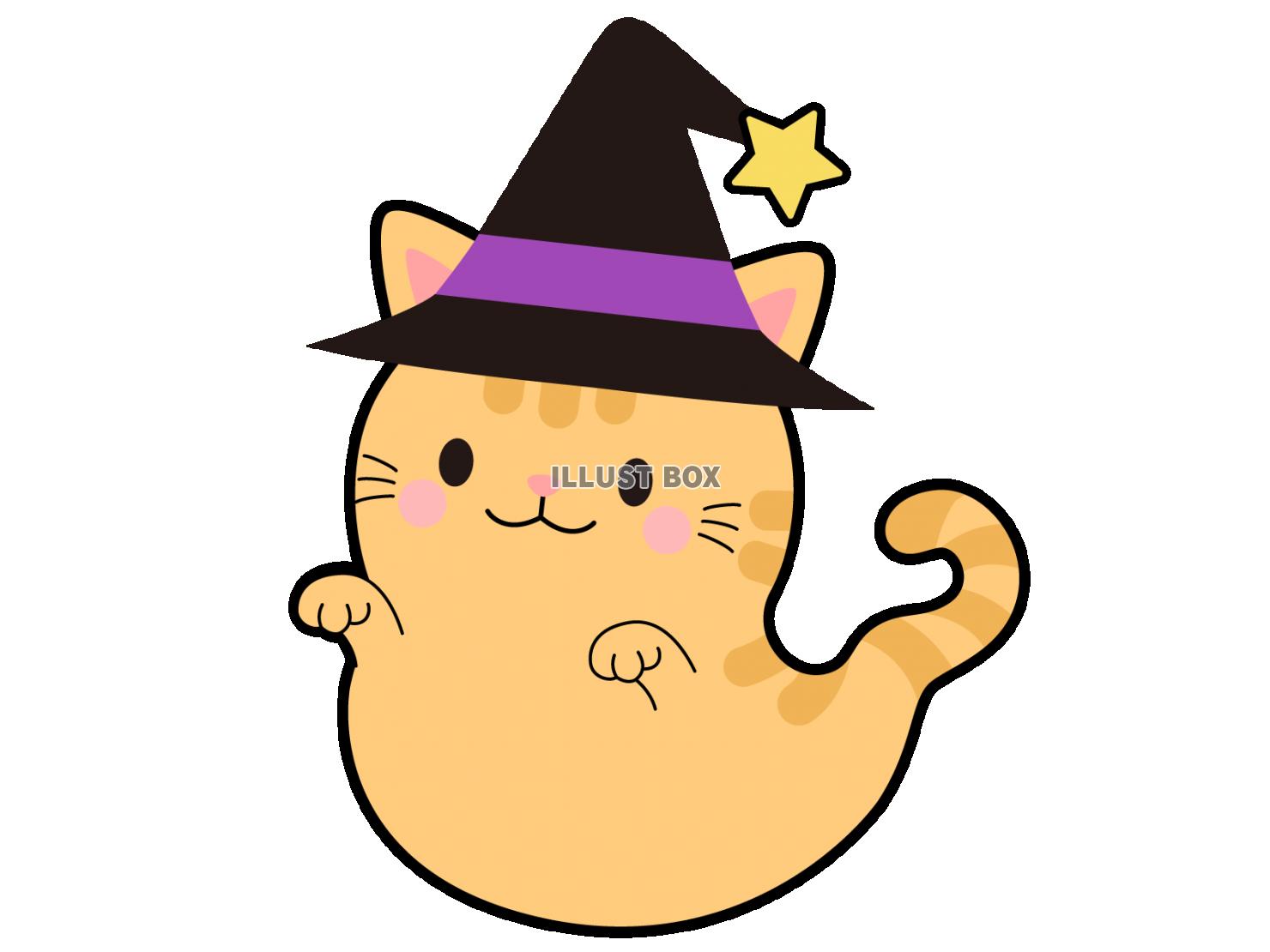 【ハロウィン】お化け茶トラ猫